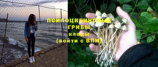 прущие крисы Алзамай