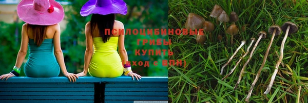 прущая мука Пестово
