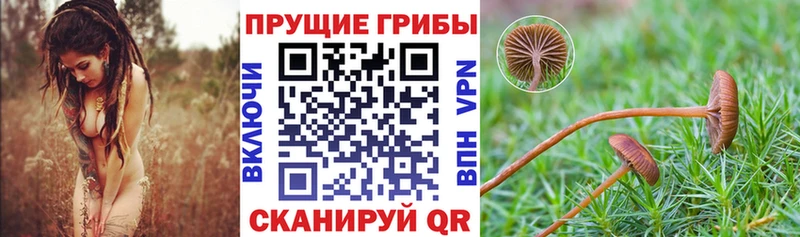 как найти закладки  Изобильный  Галлюциногенные грибы прущие грибы 